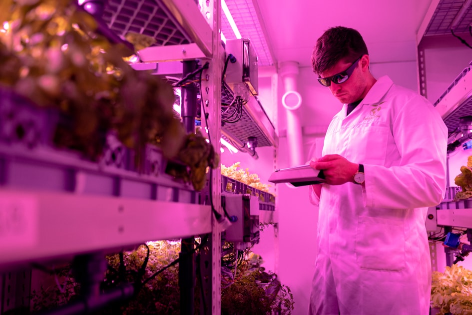 Urban Farming: Transforming City Spaces