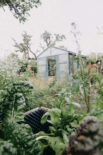 Sustainable Agriculture Practices for Everyone
