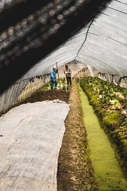 The Importance of Food Security