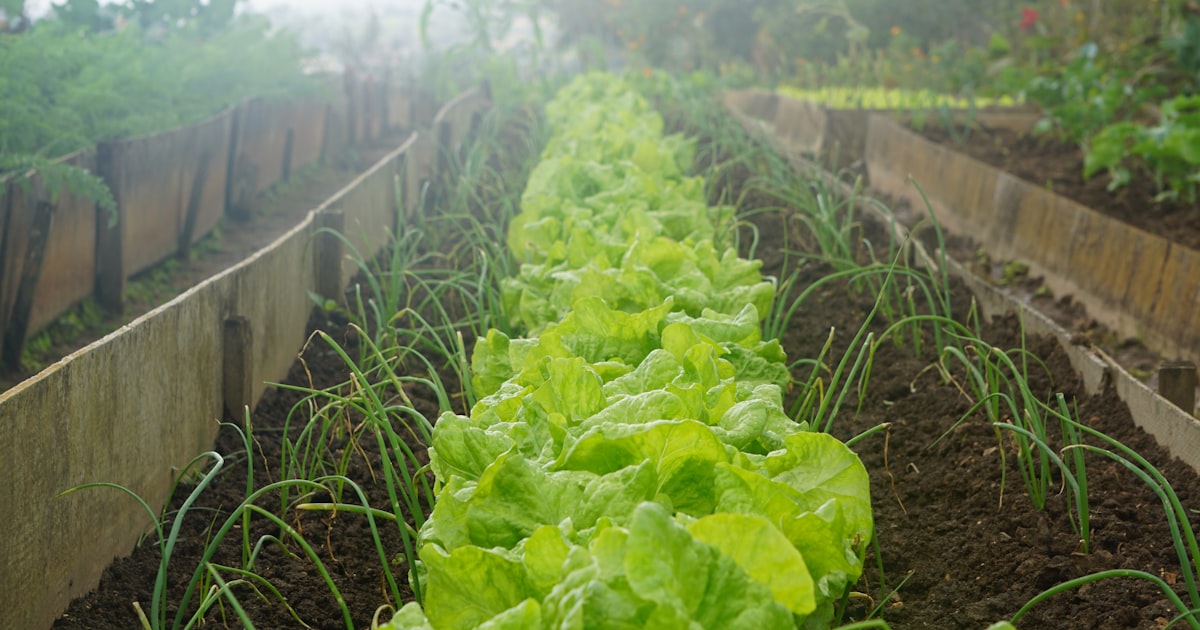 Reducing Greenhouse Gas Emissions through Farming
