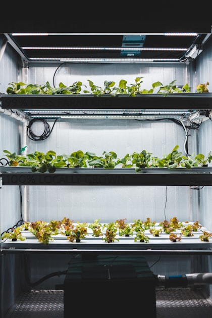 Home Farming: A Sustainable Solution